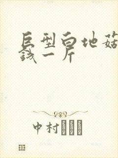 巨型白地菇多少钱一斤