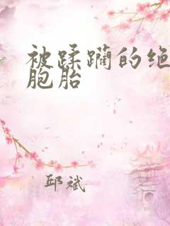 被蹂躏的绝色双胞胎