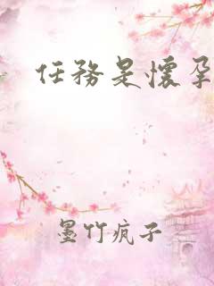 任务是怀孕系统