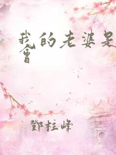 我的老婆是黑社会