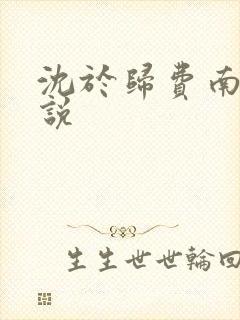 沈于归费南城小说