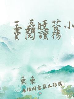 王磊晓芬小说免费阅读杨