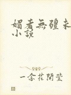 媚者无疆未删减小说