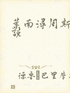 叶南浔周斯年小说