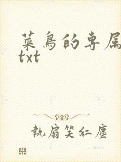 菜鸟的专属大神txt