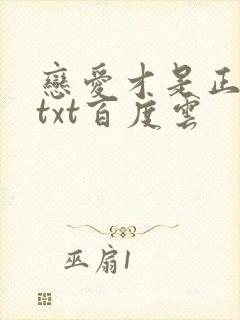 恋爱才是正经事txt百度云