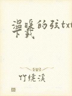 温暖的弦txt下载