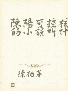 陈阳可控核聚变的小说叫什么名字