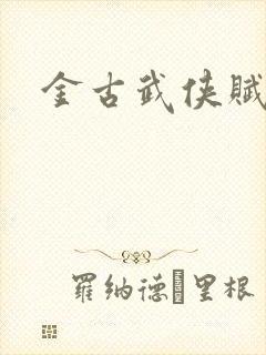 金古武侠赋