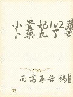 小贵妃1v2萝卜药丸了笔趣阁