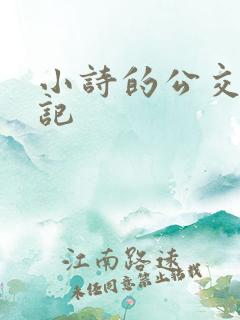 小诗的公交车日记