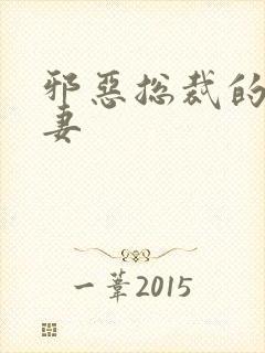 邪恶总裁的替身妻