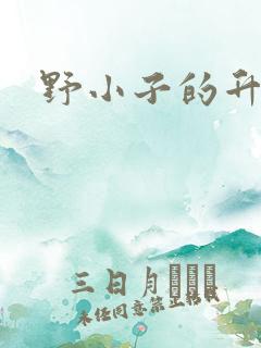 野小子的升官路