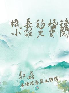 机长的婚后日常小说免费阅读