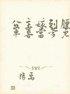 公主嫁到腹黑将军喜当爹免费