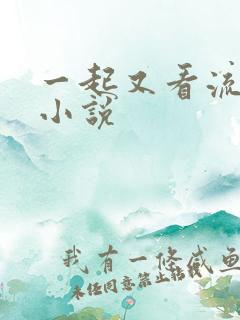 一起又看流星雨小说