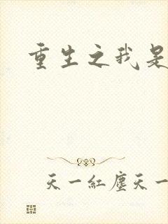 重生之我是死神