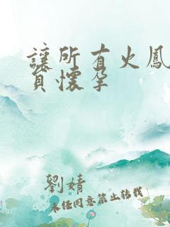 让所有火凤凰队员怀孕