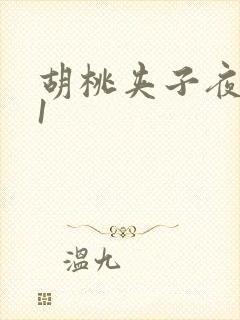 胡桃夹子夜未眠1