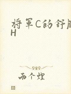 将军C的舒服么H