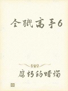 全职高手6
