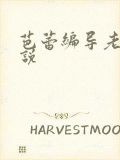 芭蕾编导老师小说