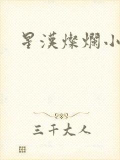 星汉灿烂小说