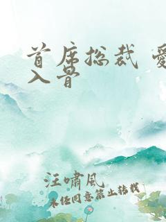 首席总裁 爱你入骨