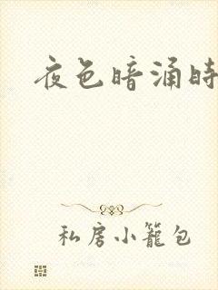 夜色暗涌时小说