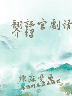 翻译官剧情分集介绍