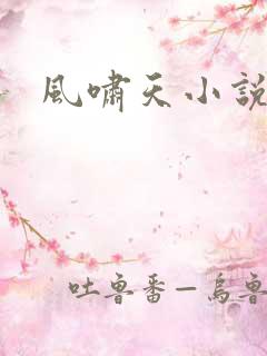 风啸天小说