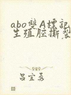 abo双A标记生殖腔撕裂