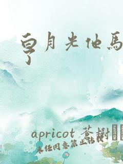 白月光他马甲掉了