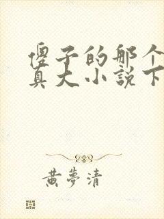 傻子的那个东西真大小说下载