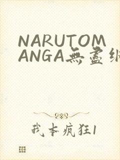 NARUTOMANGA无尽纲手