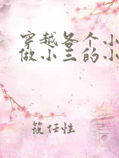 穿越各个小世界做小三的小说