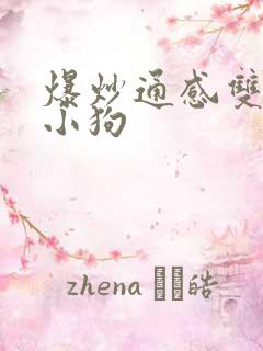 爆炒通感双胞胎小狗