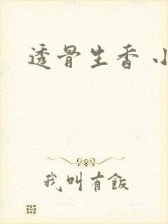 透骨生香 小说