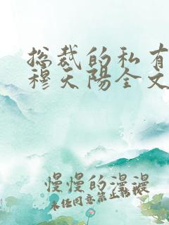 总裁的私有宝贝穆天阳全文阅读