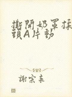 撕开奶罩揉吮奶头A片动