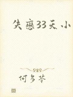 失恋33天小说