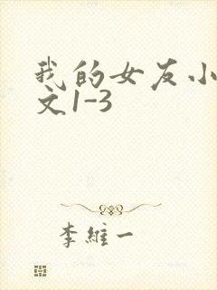我的女友小洁全文1-3