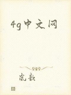 4g中文网