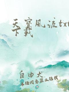 天宝风流txt下载