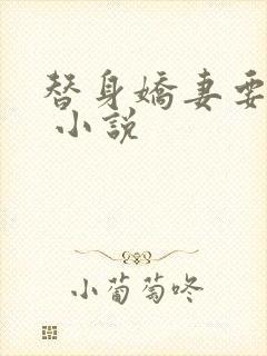 替身娇妻要离婚 小说