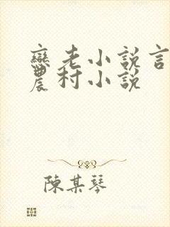 恋老小说言情网农村小说