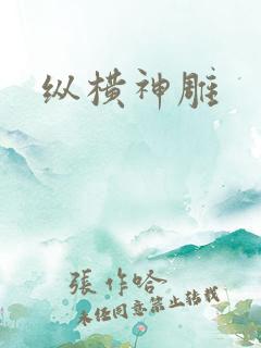 纵横神雕