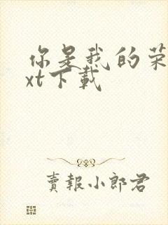 你是我的荣耀txt下载