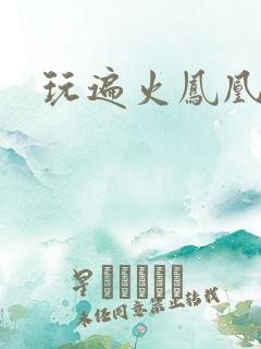 玩遍火凤凰队员