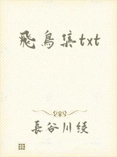 飞鸟集txt